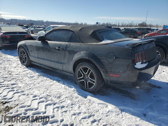 2005 Ford Mustang GT Deluxe with VIN 1ZVHT85H655199389, listed as a Copart auction lot 45215765 with 98,105 mi miles and Salvage Title. Bid and sale history available at DreamBid. Image 2.