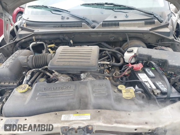 2002 Dodge Durango z VIN 1B4HR48N72F124778, wystawiony jako IAAI lot #41505251 z przebiegiem 264 232 mil mil oraz . Historia ofert i sprzedaży dostępna na DreamBid. Obrazek 10.