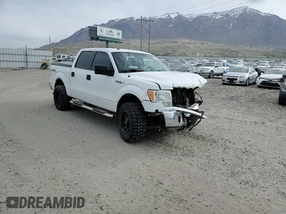 2012 Ford F-150 XL with VIN 1FTFW1EF0CFA48871, listed as a Copart auction lot 51699325 with 187,283 mi miles and Salvage title. Bid and sale history available at DreamBid. Image 10.