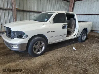 2010 Dodge Ram 1500 SLT with VIN 1D7RB1CT4AS226289, listed as a Copart auction lot 69401064 with 270,741 mi miles and Salvage Title. Bid and sale history available at carsss.com. Image 1.