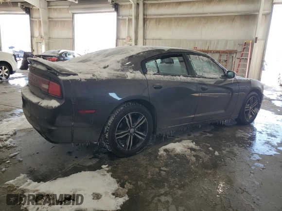 2014 Dodge Charger SXT Plus with VIN 2C3CDXJG4EH372115, listed as a Copart auction lot 41580055 with 197,232 mi miles and Salvage Title. Bid and sale history available at carsss.com. Image 3.