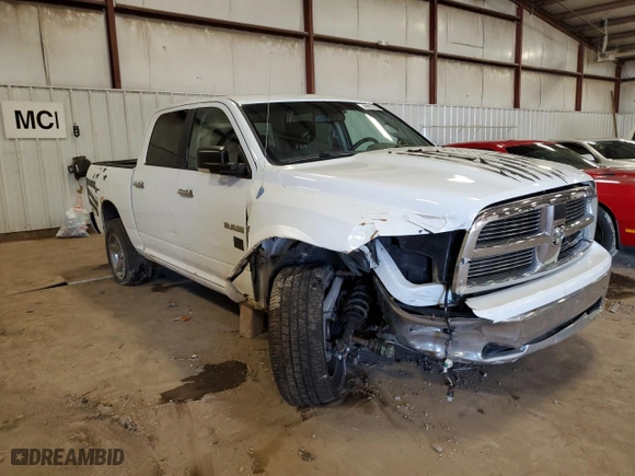 2010 Dodge Ram 1500 SLT with VIN 1D7RV1CT5AS154106, listed as a Copart auction lot 49603705 with 0 mi miles and Non Repairable. Bid and sale history available at carsss.com. Image 4.