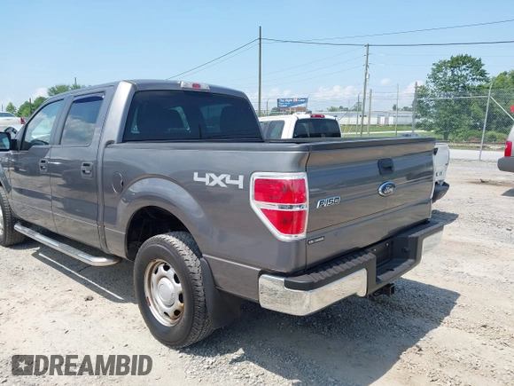 2010 Ford F-150 XL with VIN 1FTEW1E87AFD69672, listed as a IAAI auction lot 42590920 with 117,126 mi miles and . Bid and sale history available at DreamBid. Image 3.