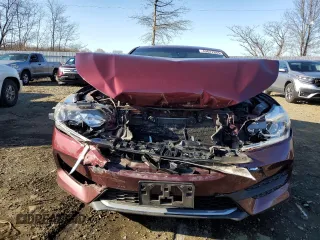 2016 Honda Accord LX with VIN 1HGCR2F30GA008069, listed as a Copart auction lot 49627865 with Not Provided miles and Salvage Title. Bid and sale history available at DreamBid. Image 5.
