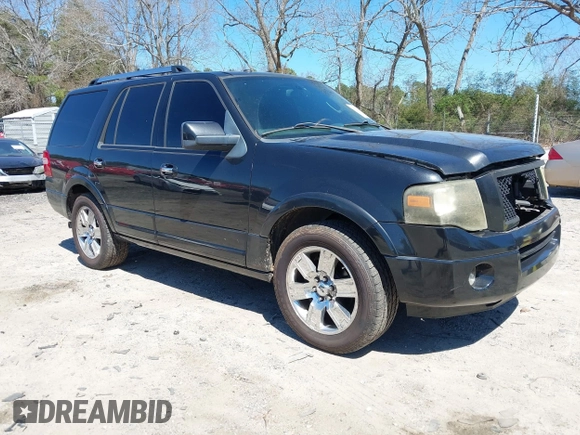2010 Ford Expedition Limited z VIN 1FMJU1K57AEA29843, wystawiony jako IAAI lot #41826975 z przebiegiem 225 920 mil mil oraz . Historia ofert i sprzedaży dostępna na DreamBid. Obrazek 1.