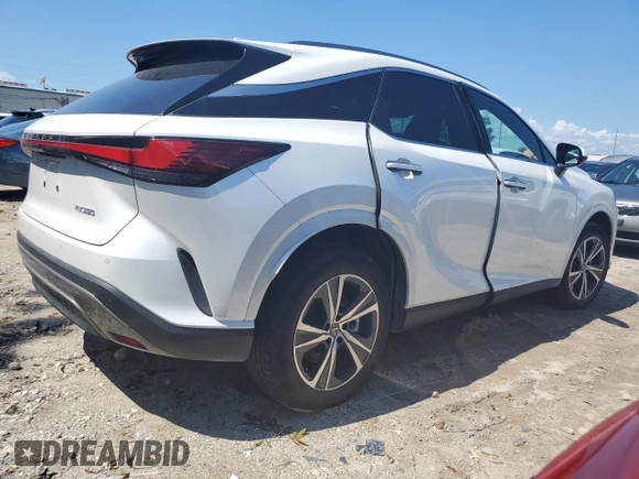 2023 Lexus RX with VIN JTJCHMAA9P2001681, listed as a Copart auction lot 73763804 with Not Provided miles and Non Repairable. Bid and sale history available at carsss.com. Image 3.