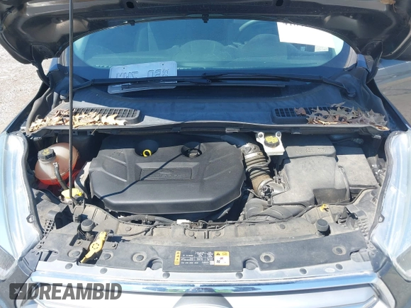 2017 Ford Escape SE with VIN 1FMCU0G96HUC52969, listed as a IAAI auction lot 41848379 with 98,177 mi miles. Bid and sale history available at carsss.com. Image 10.