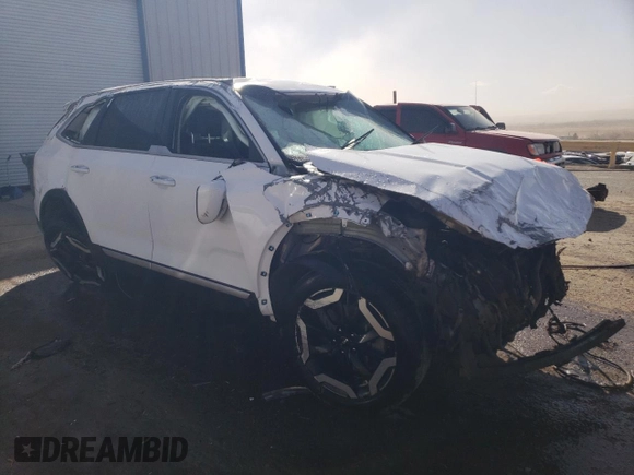 2023 Kia Telluride S with VIN 5XYP6DGCXPG341107, listed as a Copart auction lot 46181485 with Not Provided miles and Non Repairable. Bid and sale history available at DreamBid. Image 4.
