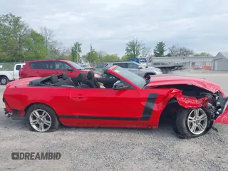 2014 Ford Mustang V6 with VIN 1ZVBP8EM3E5208282, listed as a IAAI auction lot 42104971 with Not Provided miles. Bid and sale history available at carsss.com. Image 13.