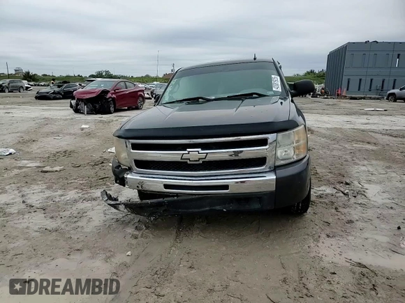 2010 Chevrolet Silverado 1500 LS with VIN 1GCSKREA4AZ159478, listed as a Copart auction lot 42081925 with Not Provided miles and Salvage Title. Bid and sale history available at DreamBid. Image 10.