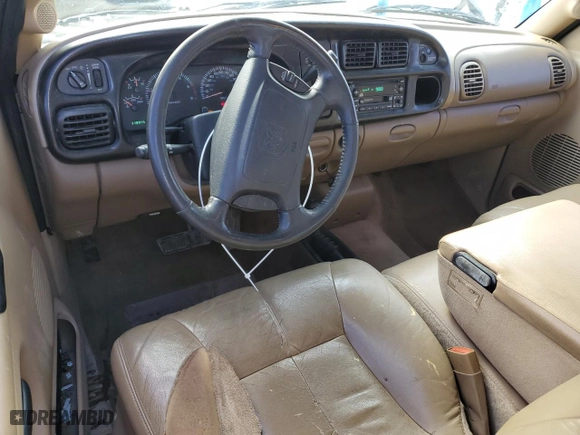 2001 Dodge Ram 1500 with VIN 3B7HF13Z11G796689, listed as a Copart auction lot 46534435 with 119,845 mi miles and Salvage Title. Bid and sale history available at carsss.com. Image 8.