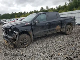 2022 Chevrolet Silverado 1500 LT Trail Boss with VIN 3GCPYFEL2NG161563, listed as a Copart auction lot 72140314 with 42,870 mi miles and Salvage Title. Bid and sale history available at DreamBid. Image 1.