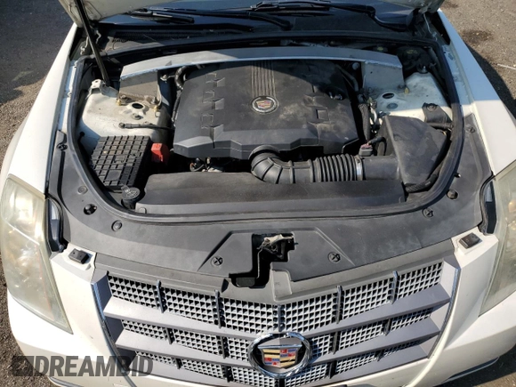 2010 Cadillac CTS Luxury with VIN 1G6DG5EG9A0135210, listed as a Copart auction lot 62516595 with 203,721 mi miles and Salvage title. Bid and sale history available at DreamBid. Image 11.
