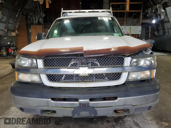 2003 Chevrolet Silverado 1500 LS with VIN 1GCEK14V33Z173927, listed as a Copart auction lot 56017245 with Not Provided miles and Clean Title. Bid and sale history available at DreamBid. Image 5.