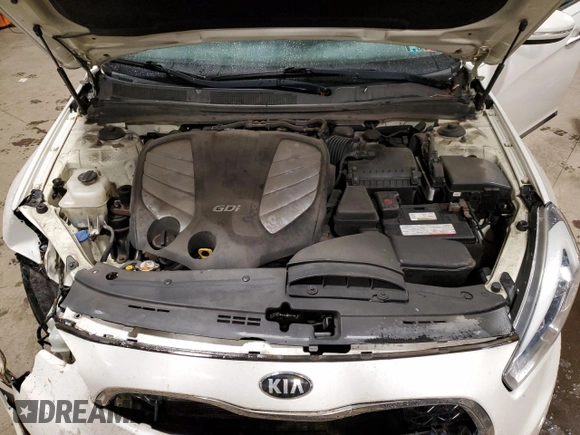 2014 Kia Cadenza Premium with VIN KNALN4D7XE5165767, listed as a Copart auction lot 81520014 with 102,229 mi miles and Salvage Title. Bid and sale history available at carsss.com. Image 11.
