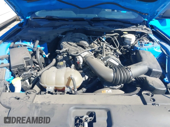 2017 Ford Mustang V6 with VIN 1FA6P8AM8H5236924, listed as a IAAI auction lot 41722764 with 36,789 mi miles and . Bid and sale history available at DreamBid. Image 10.