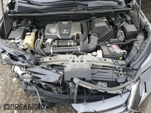 2017 Lexus NX with VIN JTJBARBZ3H2133225, listed as a Copart auction lot 43923135 with 120,793 mi miles and Salvage Title. Bid and sale history available at carsss.com. Image 14.