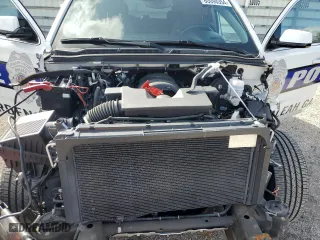2019 Chevrolet Tahoe Commercial with VIN 1GNLCDEC4KR286262, listed as a Copart auction lot 80098354 with 36,983 mi miles and Non Repairable. Bid and sale history available at carsss.com. Image 11.