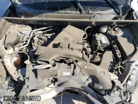 2019 Toyota RAV4 XLE with VIN JTMW1RFV5KD003972, listed as a Copart auction lot 49154825 with 0 mi miles and Salvage Title. Bid and sale history available at carsss.com. Image 12.