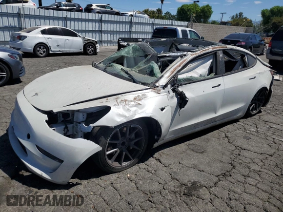 2023 Tesla Model 3 with VIN 5YJ3E1EA0PF491347, listed as a Copart auction lot 64136235 with Not provided miles and Clean title. Bid and sale history available at DreamBid. Image 1.
