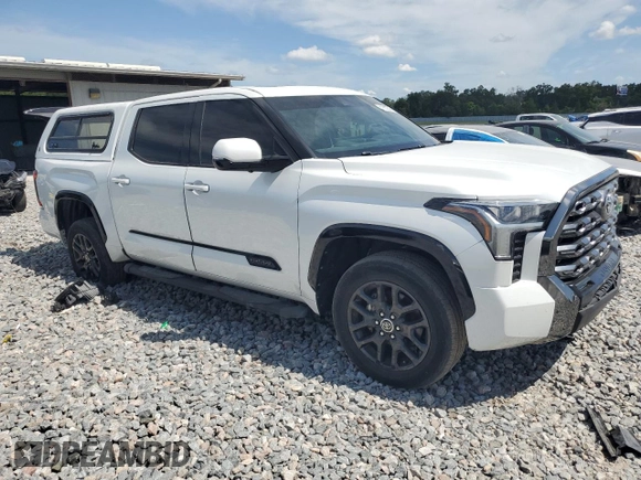 2023 Toyota Tundra Platinum with VIN 5TFNA5DB6PX097041, listed as a Copart auction lot 61903835 with 34,547 mi miles and Salvage title. Bid and sale history available at DreamBid. Image 4.