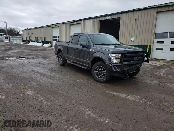 2015 Ford F-150 XLT with VIN 1FTEX1EP5FFC13030, listed as a Copart auction lot 46845495 with 177,880 mi miles and Salvage Title. Bid and sale history available at carsss.com. Image 10.