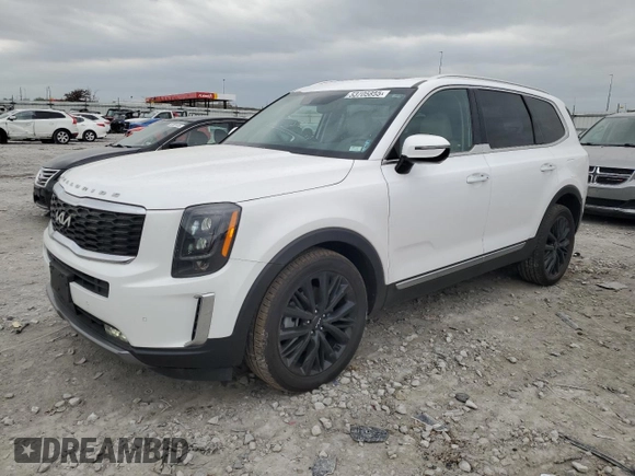 2022 Kia Telluride SX with VIN 5XYP5DHC4NG246878, listed as a Copart auction lot 53705855 with 58,265 mi miles and Salvage title. Bid and sale history available at DreamBid. Image 1.