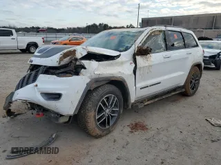 2018 Jeep Grand Cherokee Trailhawk with VIN 1C4RJFLT5JC173865, listed as a Copart auction lot 86241994 with 0 mi miles and Salvage Title. Bid and sale history available at carsss.com. Image 1.