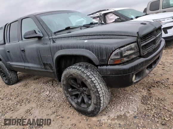 2000 Dodge Dakota Sport with VIN 1B7GG2AN1YS698330, listed as a Copart auction lot 43541235 with 160,505 mi miles and Salvage Title. Bid and sale history available at carsss.com. Image 10.