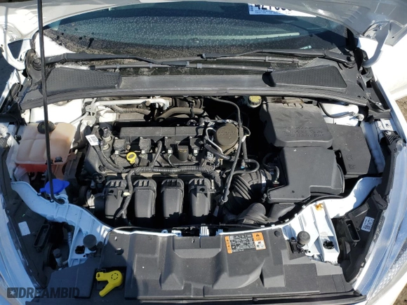 2016 Ford Focus SE with VIN 1FADP3F25GL229635, listed as a Copart auction lot 42763315 with 43,202 mi miles and Clean Title. Bid and sale history available at carsss.com. Image 12.