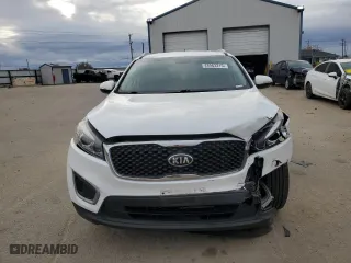 2017 Kia Sorento LX V6 with VIN 5XYPG4A57HG194298, listed as a Copart auction lot 48963215 with 117,738 mi miles and Salvage Title. Bid and sale history available at carsss.com. Image 5.