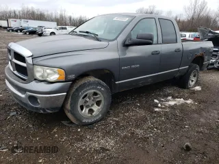 2005 Dodge 1500 SLT with VIN 1D7HU18D65S129835, listed as a Copart auction lot 40765504 with 202,245 mi miles and Clean Title. Bid and sale history available at carsss.com. Image 1.