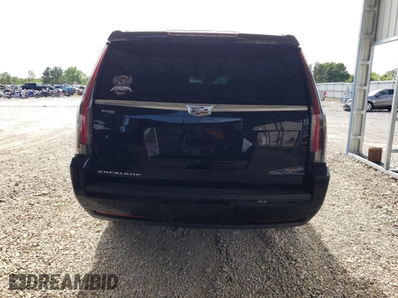 2019 Cadillac Escalade ESV Platinum with VIN 1GYS4KKJ8KR333778, listed as a Copart auction lot 58029705 with Not provided miles and Salvage title. Bid and sale history available at DreamBid. Image 6.