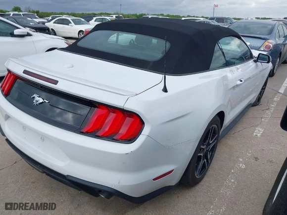 2023 Ford Mustang EcoBoost with VIN 1FATP8UH8P5111289, listed as a IAAI auction lot 41125373 with NaN miles. Bid and sale history available at carsss.com. Image 4.
