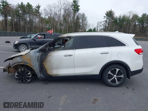 2017 Kia Sorento EX with VIN 5XYPHDA57HG271491, listed as a IAAI auction lot 42111594 with 79,556 mi miles and . Bid and sale history available at DreamBid. Image 13.