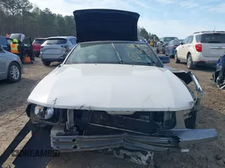 2006 Ford Mustang Standard with VIN 1ZVFT84N965243420, listed as a IAAI auction lot 41827935 with Not Provided miles and . Bid and sale history available at carsss.com. Image 13.