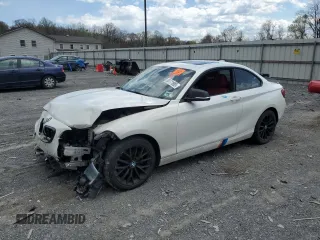 2016 BMW 2 Series 228i xDrive with VIN WBA1G9C54GV726613, listed as a Copart auction lot 53171985 with 114,192 mi miles and Salvage title. Bid and sale history available at DreamBid. Image 1.