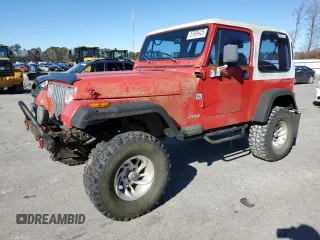 1995 Jeep Wrangler S with VIN 1J4FY19P8SP254147, listed as a Copart auction lot 87699425 with 163,924 mi miles and Clean Title. Bid and sale history available at carsss.com. Image 1.