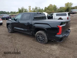2022 Toyota Tundra Platinum with VIN 5TFNA5DB9NX028910, listed as a Copart auction lot 73638914 with 25,404 mi miles and Salvage title. Bid and sale history available at DreamBid. Image 2.