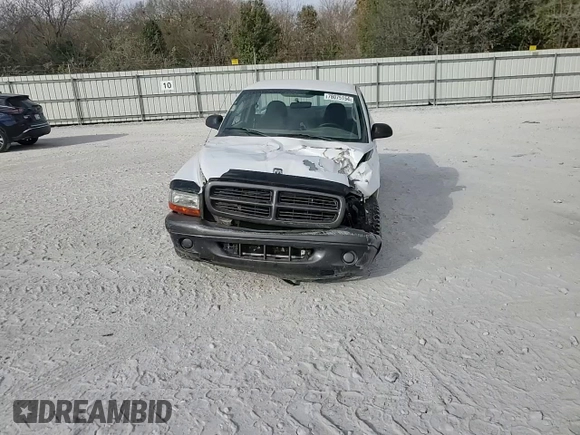 2002 Dodge Dakota with VIN 1B7FL16X22S676436, listed as a Copart auction lot 78075154 with 125,518 mi miles and Salvage Title. Bid and sale history available at DreamBid. Image 11.