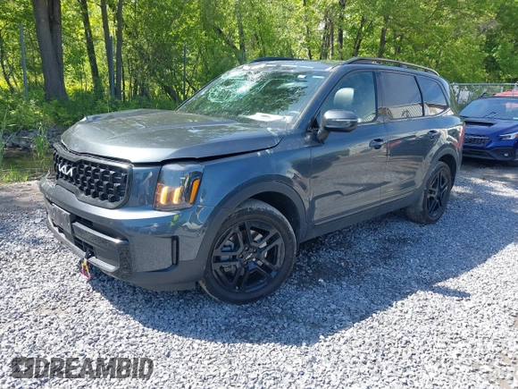 2024 Kia Telluride EX X-Line with VIN 5XYP3DGC9RG539740, listed as a IAAI auction lot 42330422 with 28,216 mi miles and . Bid and sale history available at DreamBid. Image 17.