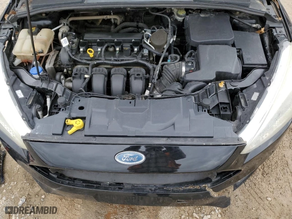 2016 Ford Focus SE with VIN 1FADP3K2XGL269778, listed as a Copart auction lot 49497205 with 0 mi miles and Salvage Title. Bid and sale history available at carsss.com. Image 13.
