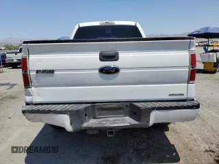 2013 Ford F-150 XL with VIN 1FTEX1CMXDFB04276, listed as a Copart auction lot 62396815 with 225,913 mi miles and Salvage title. Bid and sale history available at DreamBid. Image 6.
