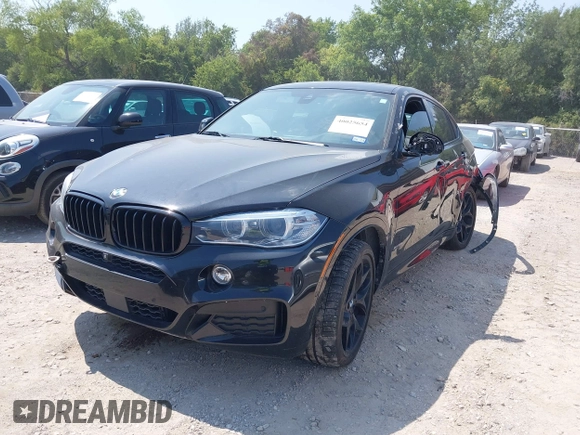 2018 BMW X6 xDrive50i with VIN 5UXKU6C58J0W39038, listed as a IAAI auction lot 40025654 with 106,080 mi miles. Bid and sale history available at carsss.com. Image 17.