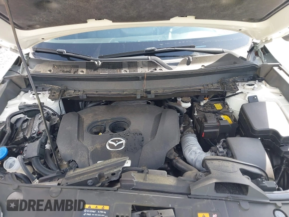 2022 Mazda CX-9 Touring with VIN JM3TCBCY4N0604912, listed as a IAAI auction lot 42456794 with 49,853 mi miles and . Bid and sale history available at DreamBid. Image 10.
