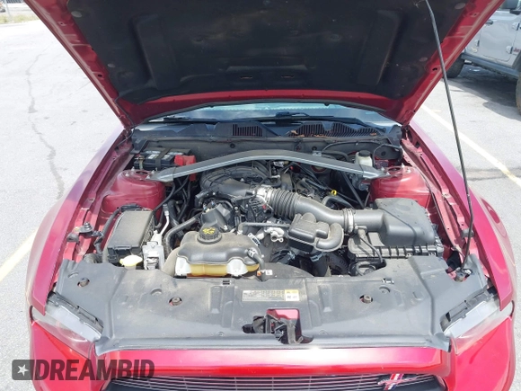 2014 Ford Mustang V6 with VIN 1ZVBP8EM4E5331248, listed as a IAAI auction lot 42202978 with 89,205 mi miles and . Bid and sale history available at DreamBid. Image 10.