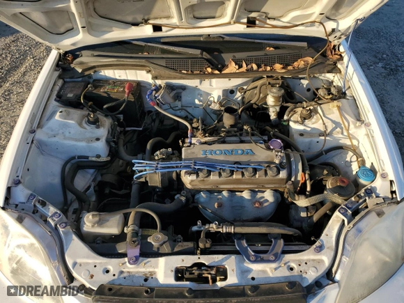 1998 Honda Civic DX with VIN 1HGEJ6225WL040734, listed as a Copart auction lot 83671054 with 143,563 mi miles and Salvage Title. Bid and sale history available at carsss.com. Image 11.