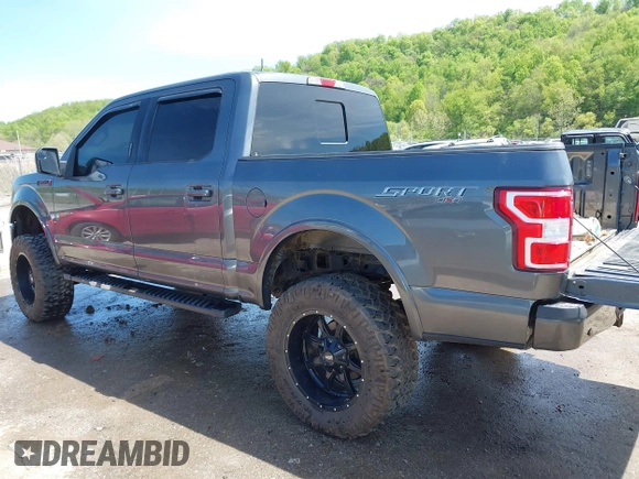 2020 Ford F-150 XL with VIN 1FTEW1EP3LFB45101, listed as a IAAI auction lot 39302251 with Not Provided miles and . Bid and sale history available at carsss.com. Image 3.