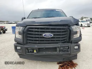 2017 Ford F-150 XL with VIN 1FTEX1CP4HKD67029, listed as a Copart auction lot 47726485 with 171,921 mi miles and Salvage Title. Bid and sale history available at carsss.com. Image 5.