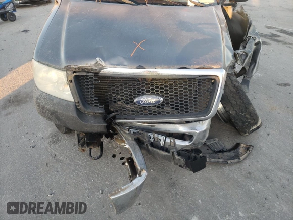 2006 Ford F-150 XL with VIN 1FTRF14W86NA32023, listed as a Copart auction lot 89320095 with 176,811 mi miles and Salvage title. Bid and sale history available at DreamBid. Image 12.